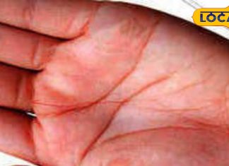 बदल सकती है हाथों में लिखी किस्मत! बस करना होगा यह काम; शनि-राहु भी भाग्य बदलने पर हो जाएंगे मजबूर