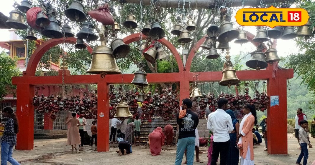 भूत प्रेत से मुक्ति हो या संतान प्राप्ति, यहां बिना पुजारी के हर मनोकामना होती है पूरी, जानें अटैया बाबा की कहानी