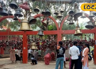 भूत प्रेत से मुक्ति हो या संतान प्राप्ति, यहां बिना पुजारी के हर मनोकामना होती है पूरी, जानें अटैया बाबा की कहानी