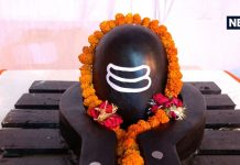 मंगल दोष से बीमारी तक, अनेक समस्याओं से मुक्ति दिलाएगा ये उपाय, बस शिवलिंग पर चढ़ाएं 108 दाने अनाज