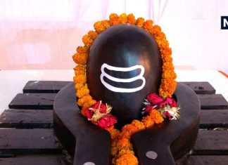 मंगल दोष से बीमारी तक, अनेक समस्याओं से मुक्ति दिलाएगा ये उपाय, बस शिवलिंग पर चढ़ाएं 108 दाने अनाज