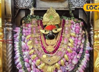 मां विंध्यवासिनी धाम में आ रहे हैं दर्शन करने, तो भूलकर भी न करें यह गलती, वरना बनेंगे पाप के भागीदार!