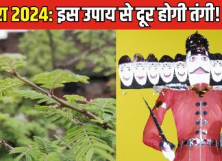 मेहनत तो खूब करते पर हाथ नहीं आता पैसा? आपके साथ भी है ऐसा तो दशहरे पर करें यह उपाय, घर में होने लगेगी बरकत!