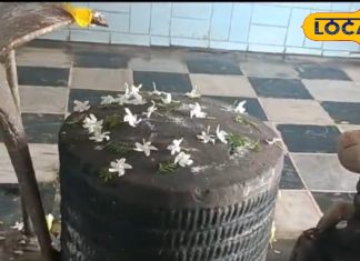 रीवा का अद्वितीय शिवलिंग: हजारों शिवलिंगों से बना एकमात्र शिवलिंग, त्रेतायुग से है मान्यता