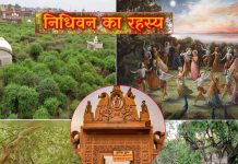 शाम होते ही बंदर क्यों छोड़ देते हैं निधिवन? क्या है पौधों से जुड़ा रहस्य? पड़ताल में हुआ खुलासा – Why all Monkeys and Birds who resides in Nidhivan leaves before nightfall trees in bending position towards ground know Mysterious And Unknown Facts