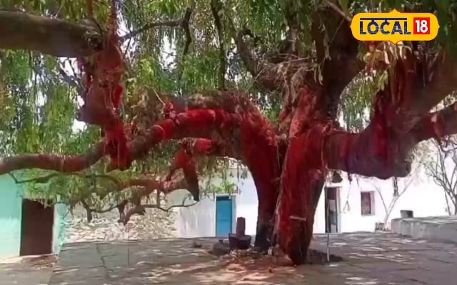 अस्पताल नहीं बल्कि चित्रूकट में इस वृक्ष की पूजा करने