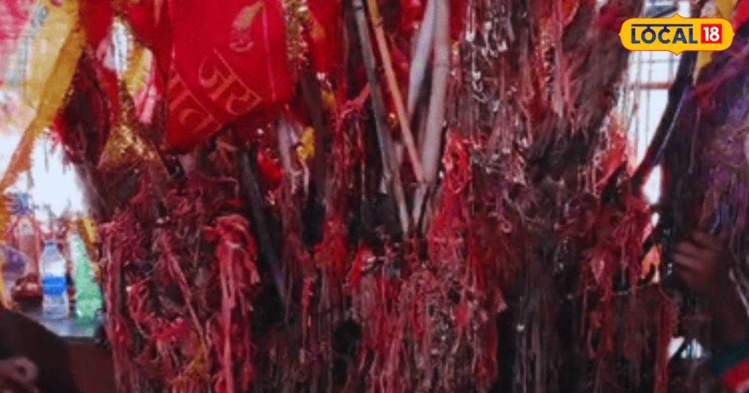 बड़ा ही चमत्कारी है मेवाड़ का ये मंदिर, यहां लकवा