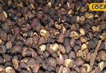 कमाल की औषधि! एंटीऑक्सीडेंट और एंटीफंगल गुणों से है भरपूर; स्किन के लिए भी लाभदायक – Bharat.one हिंदी