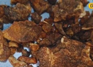 Health Tips: बुखार की दुश्मन है ये जड़ी-बूटी, डेंगू-टाइफाइड में कारगर