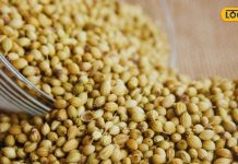 आपकी रसोई में छुपा है ये सुपरफूड, सेहत के लिए वरदान, हार्ट स्ट्रोक का खतरा करता है कम