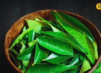 डायबिटीज पेशेंट के लिए वरदान से कम नहीं ये पत्ते, इम्यून सिस्टम करता है मजबूत