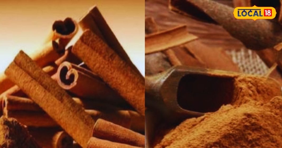 महिलाओं के लिए वरदान से कम नहीं इस पेड़ की छाल, Periods से जुड़ी हर समस्या में है कारगर