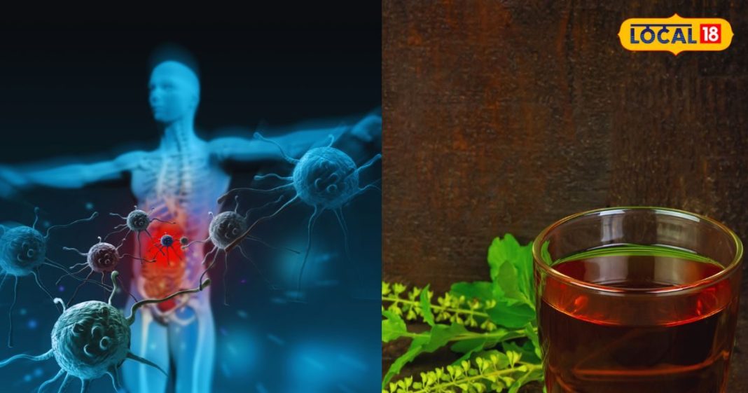 बदलते मौसम में शरीर का सुरक्षा कवच बनेंगे ये 3 उपाय, थकान और कमजोरी भी रहेगी क