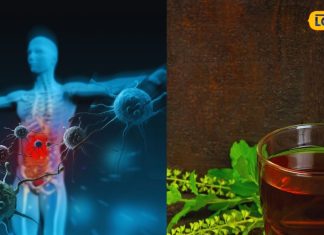 बदलते मौसम में शरीर का सुरक्षा कवच बनेंगे ये 3 उपाय, थकान और कमजोरी भी रहेगी क