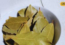 गुर्दे की पथरी से लेकर सांस की समस्या तक, किचन का ये मसाला देता है राहत