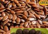 benefits of linseed laddu for cholesterol and weight control in winter sa
