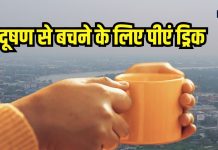 जहरीली हवा से बचने के लिए जरूर पीएं ये ड्रिंक, निकाल देगा शरीर के अंदर पहुंचा हुआ सारा जहर