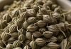 ajwain benefits for health immunity cholesterol cough pain relief and more sa – Bharat.one हिंदी
