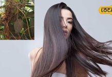 Hair Mask: बाल न टूटेंगे-न झड़ेंगे…बस घर पर बने इस लेप से करें मालिश, दोगुनी हो जाएगी हेयर ग्रोथ!