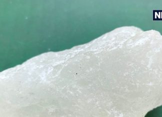 आर्थिक तंगी दूर करेगी छोटी सी यह सफेद चीज, लॉकर में रखें और फिर देखें चमत्कार! जानें किस दिन रखना होगा सही?