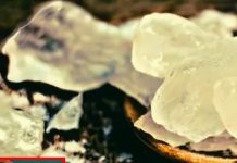 Kapoor ke fayde camphor benefits for skin and body hair loss sa – Bharat.one हिंदी