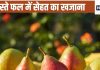 सेहत का पावरहाउस है सर्दियों में मिलने वाला ये फल, 5 फायदे जान आप होगें दीवाने