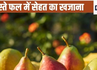 सेहत का पावरहाउस है सर्दियों में मिलने वाला ये फल, 5 फायदे जान आप होगें दीवाने