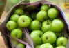 benefits of amla in winter season for skin immunity skin hair sa