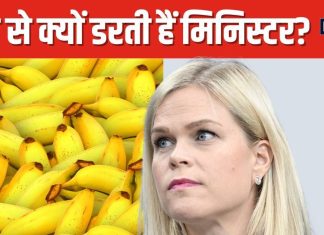 केले देखते ही स्वीडन की मंत्री के छूट जाते हैं पसीने ! आखिर क्या है इसकी वजह? जानकर रोंगटे खड़े हो जाएंगे