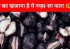कैल्शियम-प्रोटीन की दुकान है पानी में उगने वाला ये फल…हड्डियों को बना देगा ताकतवर, थायराइड के लिए वरदान!
