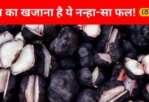 कैल्शियम-प्रोटीन की दुकान है पानी में उगने वाला ये फल…हड्डियों को बना देगा ताकतवर, थायराइड के लिए वरदान!