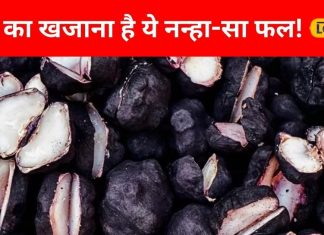 कैल्शियम-प्रोटीन की दुकान है पानी में उगने वाला ये फल…हड्डियों को बना देगा ताकतवर, थायराइड के लिए वरदान!