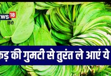 गुमटी पर मिलने वाला ये हरा पत्ता कर देगा कब्ज का काम-तमाम, ग्रंथों में भी लिखा है ये नुस्खा, खूब हैं फायदे