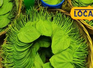 health benefits of betel leaf digestion skin allergy treatment sa – Bharat.one हिंदी