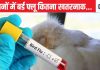 इंसान में पहुंचा बर्ड फ्लू, कनाडा में पहले केस से हाहाकर, जानिए कितना खतरनाक है यह