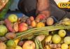 Chhath Puja Prasad: छठ पूजा के प्रसाद में चढ़ाए जानेवाले फल हैं बेहद गुणकारी, जानें इनके औषधीय गुण