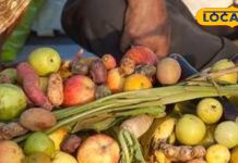 Chhath Puja Prasad: छठ पूजा के प्रसाद में चढ़ाए जानेवाले फल हैं बेहद गुणकारी, जानें इनके औषधीय गुण