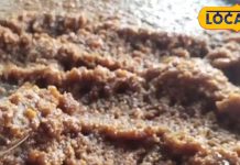 ये बर्फी है या बवाल! 100 साल बाद भी वही स्वाद, जिसने चखा… वो भूल नहीं सका, नेता से अभिनेता तक फैन