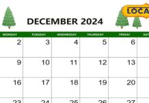 December 2024 Vrat Tyohar list: दिसंबर में पड़ेंगे कई महत्वपूर्ण व्रत और त्योहार, यहां देखें पूरी लिस्ट