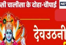 Dev Uthani Ekadashi 2024: देवउठनी एकादशी पर करें तुलसी चालीसा का पाठ, मां तुलसी की होगी कृपा, समाप्त होंगी बाधाएं