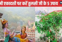 Dev Uthani Ekadashi: देवउठनी एकादशी पर तुलसी विवाह का भी शुभ मुहूर्त, Tulsi Maa से जुड़े ये 5 काम न किए तो व्रत करना बेकार!