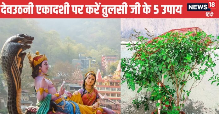 Dev Uthani Ekadashi: देवउठनी एकादशी पर तुलसी विवाह का भी