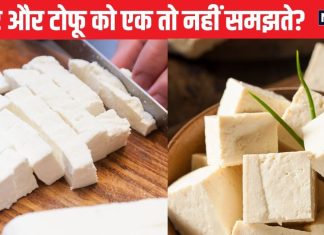 क्या आप भी पनीर और टोफू को एक समझते हैं? जानें किस चीज से ये बनते हैं और दोनों में से किसे खाना है अधिक फायदेमंद