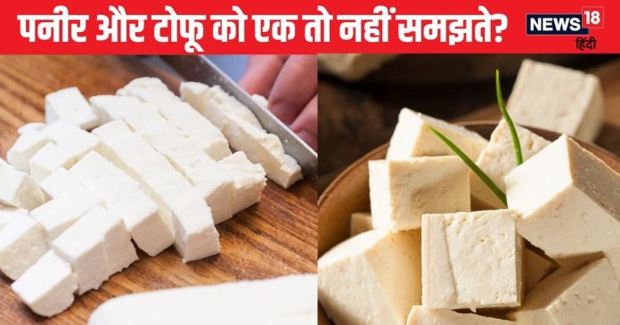 Difference-between-Paneer-and-tofu-2024-11-60e4acdab21583dd06e2490b5306ebe8-16x9.jpg