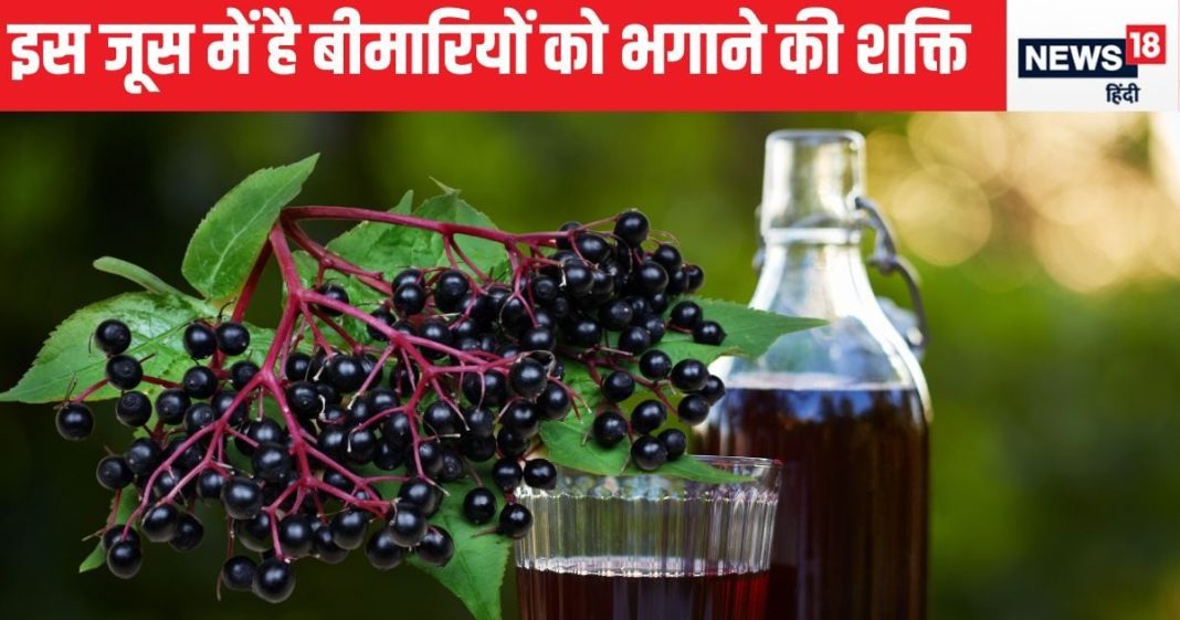 यह अकेला जूस 3 बड़ी बीमारियों पर लगाएगा ब्रेक, वजन और शुगर पर एक साथ करेगा प्रहार, आंत की भी करेगा सफाई