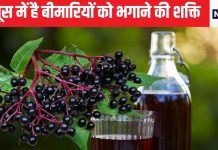 यह अकेला जूस 3 बड़ी बीमारियों पर लगाएगा ब्रेक, वजन और शुगर पर एक साथ करेगा प्रहार, आंत की भी करेगा सफाई