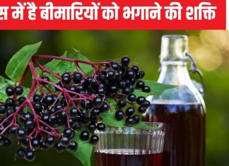 यह अकेला जूस 3 बड़ी बीमारियों पर लगाएगा ब्रेक, वजन और शुगर पर एक साथ करेगा प्रहार, आंत की भी करेगा सफाई