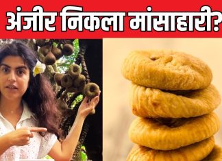 ततैया के अंडे, कीड़ों की लाश… क्या सच में अंजीर होता है ‘मांसाहारी फल’? एक्ट्रेस के वीडियो से मचा हंगामा