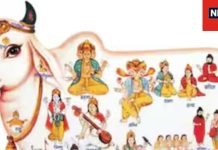 Gopashtami 2024: गोपाष्टमी आज, गायों की सेवा के साथ करें ये उपाय, मिलेगी श्रीकृष्ण की कृपा, नहीं आएगा कोई संकट!