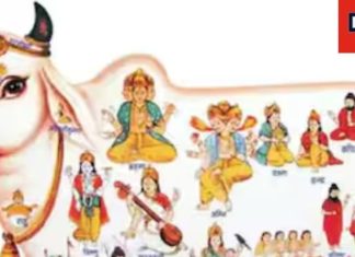 Gopashtami 2024: गोपाष्टमी आज, गायों की सेवा के साथ करें ये उपाय, मिलेगी श्रीकृष्ण की कृपा, नहीं आएगा कोई संकट!